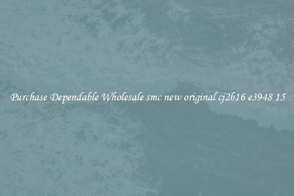 Purchase Dependable Wholesale smc new original cj2b16 e3948 15