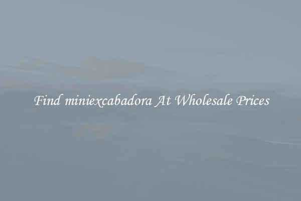 Find miniexcabadora At Wholesale Prices