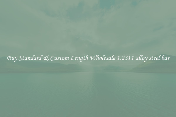 Buy Standard & Custom Length Wholesale 1.2311 alloy steel bar