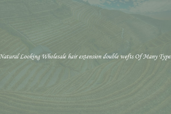 Natural Looking Wholesale hair extension double wefts Of Many Types