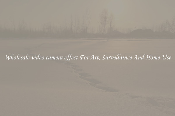 Wholesale video camera effect For Art, Survellaince And Home Use