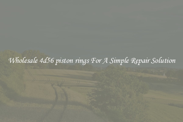 Wholesale 4d56 piston rings For A Simple Repair Solution