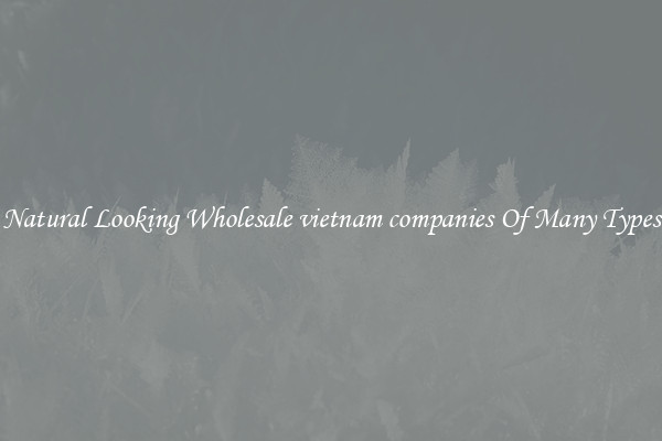 Natural Looking Wholesale vietnam companies Of Many Types