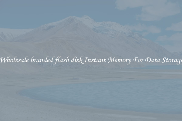 Wholesale branded flash disk Instant Memory For Data Storage