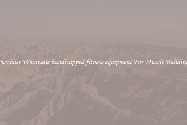Purchase Wholesale handicapped fitness equipment For Muscle Building.
