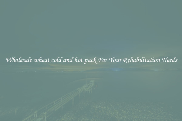 Wholesale wheat cold and hot pack For Your Rehabilitation Needs