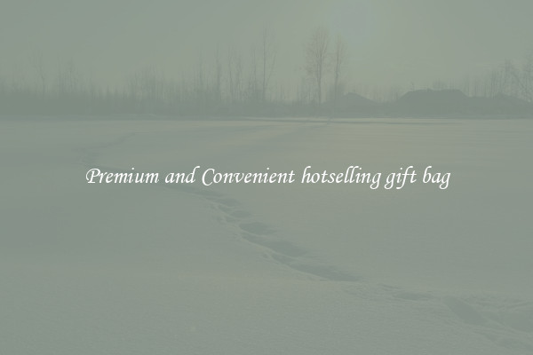 Premium and Convenient hotselling gift bag