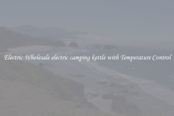Electric Wholesale electric camping kettle with Temperature Control
