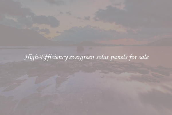 High-Efficiency evergreen solar panels for sale