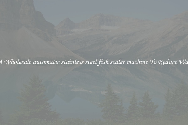 Get A Wholesale automatic stainless steel fish scaler machine To Reduce Wastage