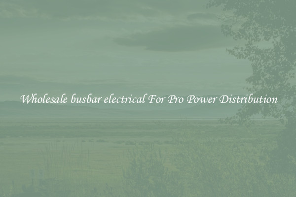 Wholesale busbar electrical For Pro Power Distribution