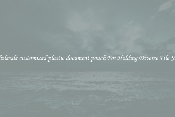 Wholesale customized plastic document pouch For Holding Diverse File Sizes