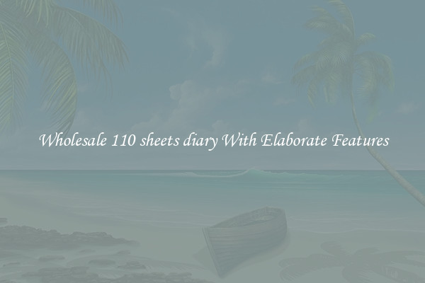 Wholesale 110 sheets diary With Elaborate Features