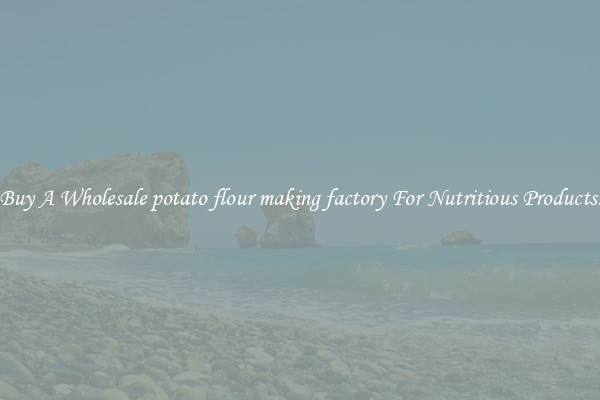 Buy A Wholesale potato flour making factory For Nutritious Products.