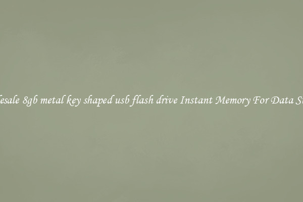 Wholesale 8gb metal key shaped usb flash drive Instant Memory For Data Storage