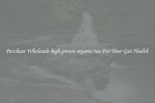 Purchase Wholesale high grown organic tea For Your Gut Health 