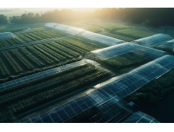 J9国际站|集团官网