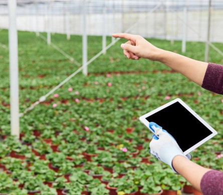 J9国际站|集团官网